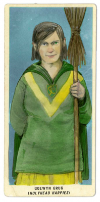 Emily Gravett illustration for Quidditch through the Ages
