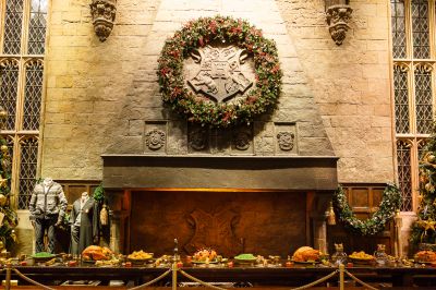Great-Hall-fireplace-28429.jpg