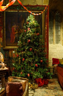 Gryffindor-common-room-dressed-for-Christmas-281629.jpg