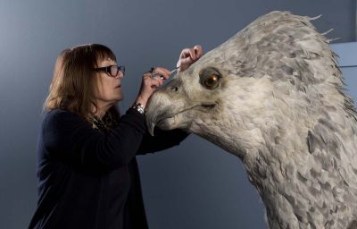 Buckbeak the Hippogriff has his Feathers Buffed, Preened and Replenished by Featherologist Val Jones [Photo Courtesy of WB]
