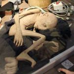 Harry-Potter-Studio-Tour-HeyUGuys-6.jpg