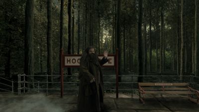 diagon-alley-03_Hagrid_at_Hogsmeade_Station.JPG