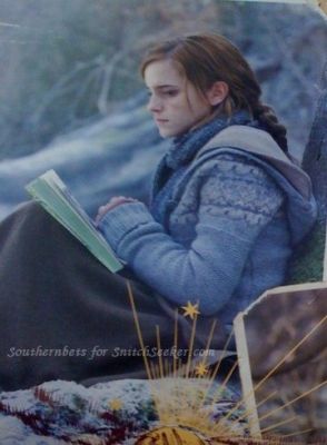 snitchseeker-2011calendar_282029.jpg