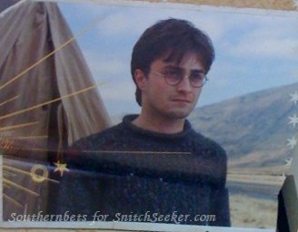 snitchseeker-2011calendar_281029.jpg