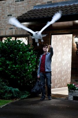 Everyone mounts up and leaves Privet Drive. Harry says goodbye to Hedwig. 
