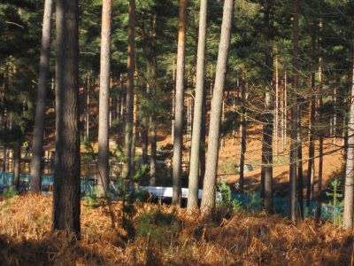 dh_set_swinleyforest10_04.JPG