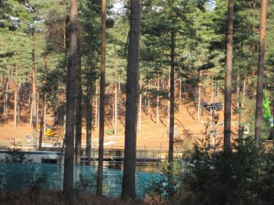 dh_set_swinleyforest10_06.JPG