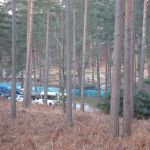 dh_set_swinleyforest10_02.JPG