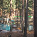 dh_set_swinleyforest10_09.JPG