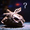Filename=stonewrapped.jpg
Filesize=37KB
Dimensions=100x100
Date added=Oct 25, 2007 stonewrapped.jpg