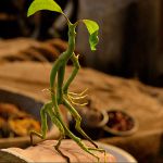 Filename=bowtruckle.jpg
Filesize=299KiB
Dimensions=612x380
Date added=Aug 16, 2016 bowtruckle.jpg