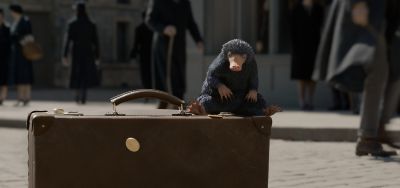 The Niffler in a scene from Warner Bros. Pictures' fantasy adventure "FANTASTIC BEASTS: THE CRIMES OF GRINDELWALD,â€ a Warner Bros. Pictures release.Â 
Photo courtesy of Warner Bros. Pictures
