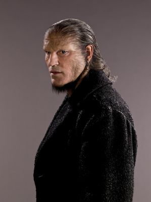 Greyback3_scarpotter.jpg