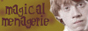 Magical-Menagerie