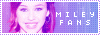Miley Fans