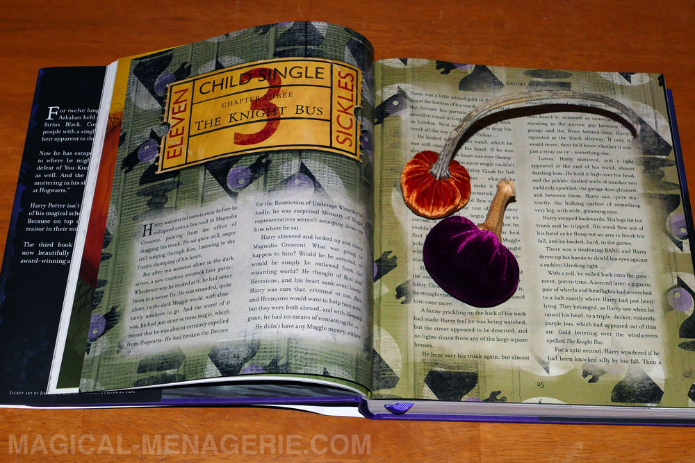 Harry Potter and the Prisoner of Azkaban Illustrated Edition - Jim Kay