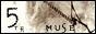 The 5 Muse