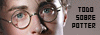 Todo Sobre Potter